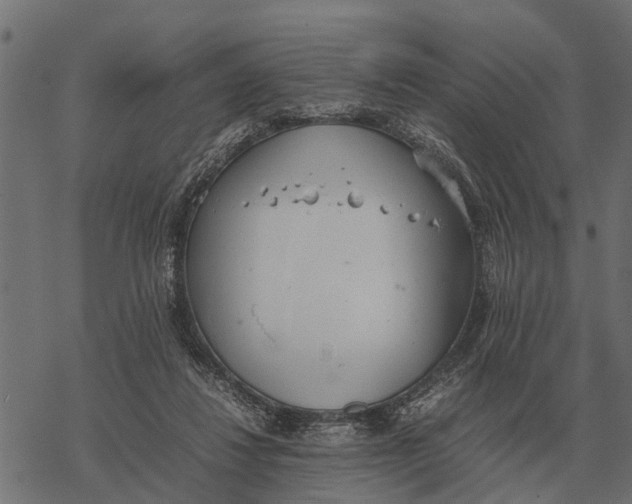 X0000067950260200605041833