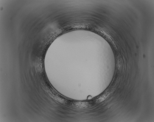 X0000067950261200605041833