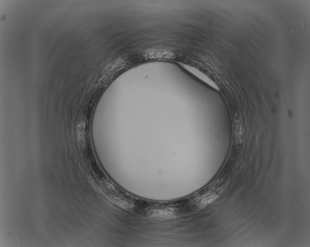 X0000067950263200605041833