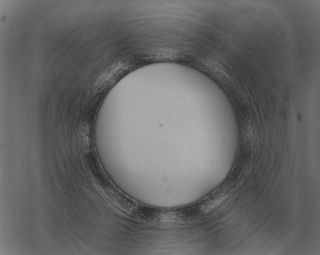 X0000067950264200605041833