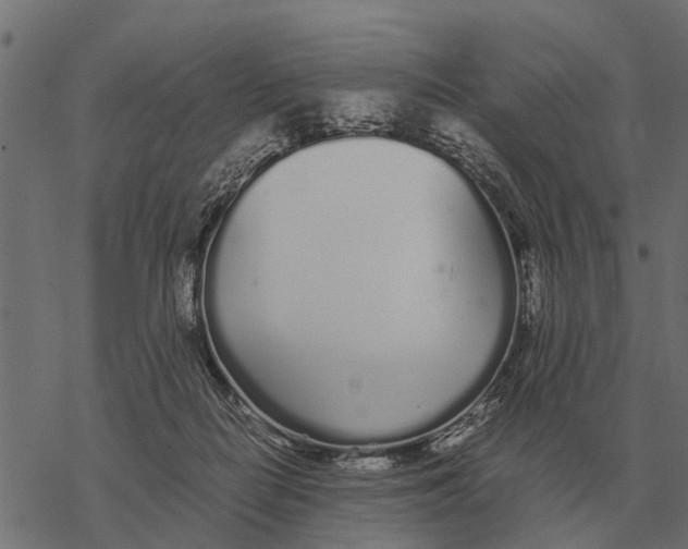 X0000067950266200605041833