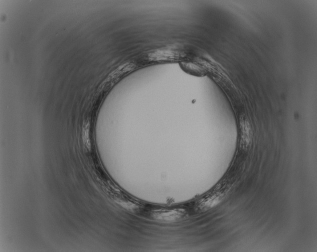 X0000067950267200605041833