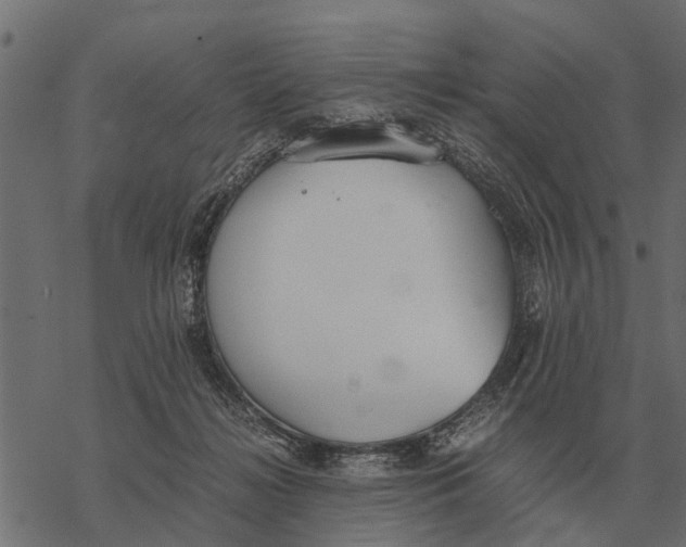 X0000067950268200605041833