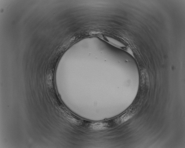 X0000067950269200605041833