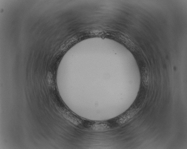 X0000067950270200605041833