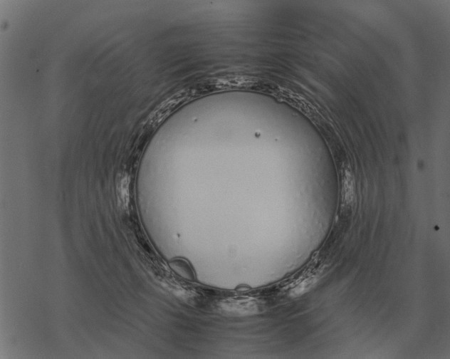 X0000067950271200605041833