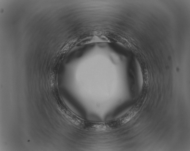 X0000067950272200605041833