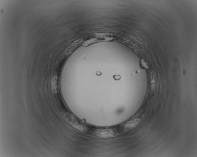 X0000067950275200605041833