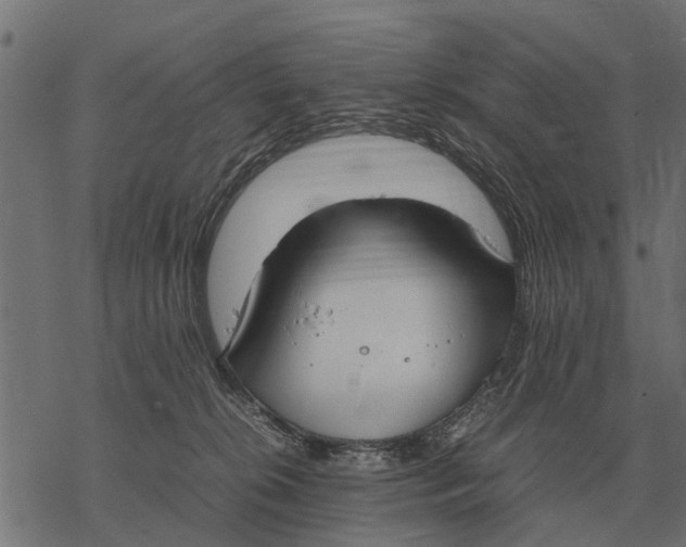 X0000067950276200605041833