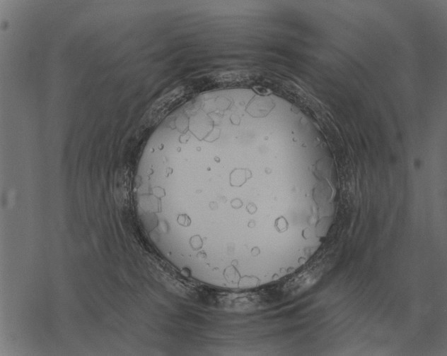 X0000067950277200605041833