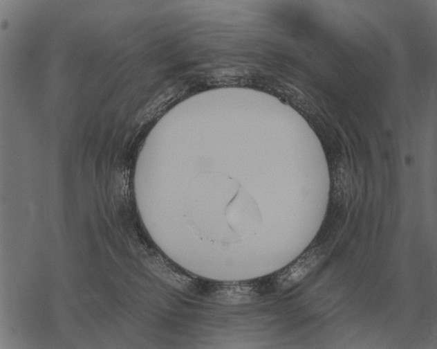 X0000067950278200605041833