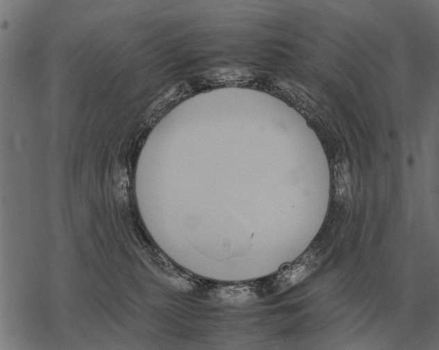 X0000067950279200605041833