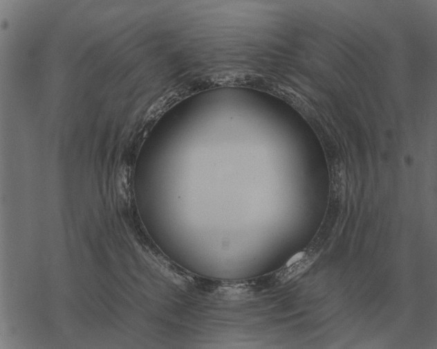 X0000067950280200605041833