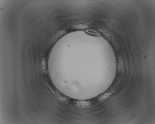 X0000067950281200605041833