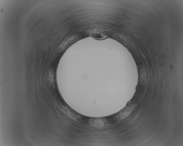 X0000067950282200605041833