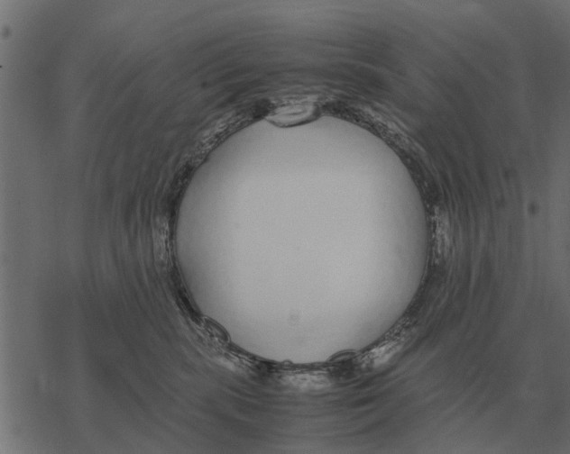 X0000067950283200605041833