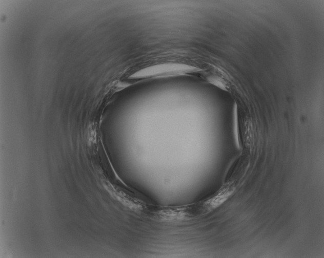 X0000067950284200605041833