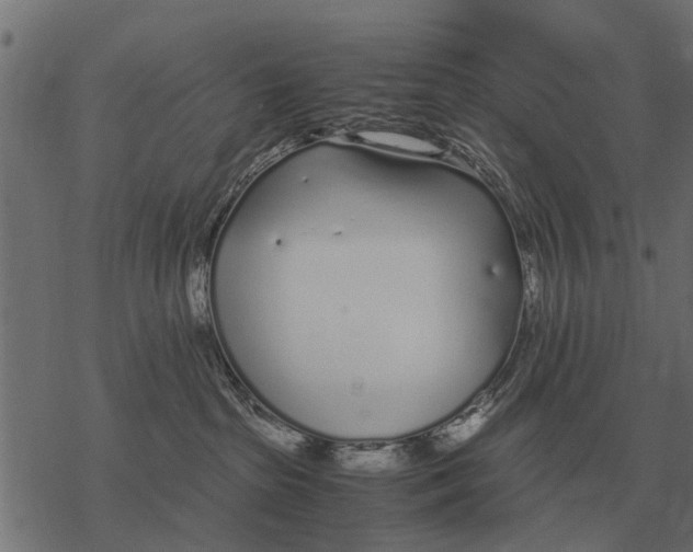 X0000067950285200605041834