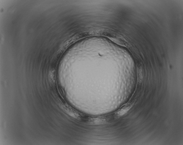 X0000067950286200605041834