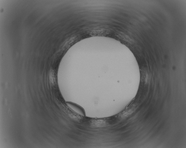 X0000067950287200605041834