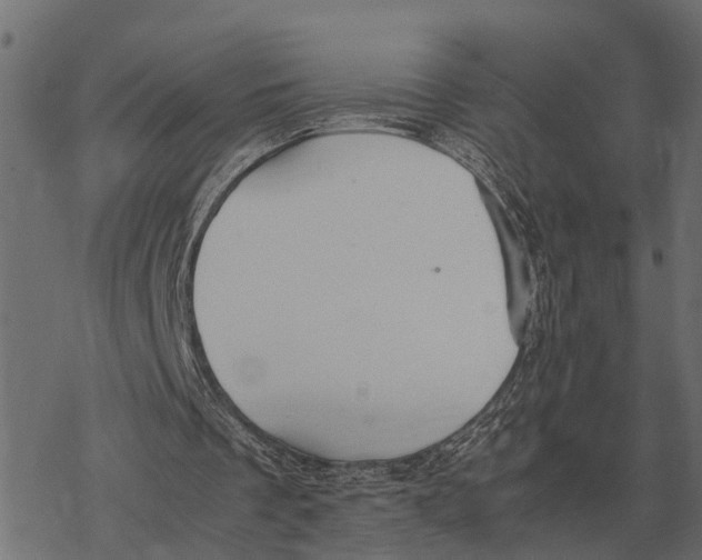 X0000067950289200605041833