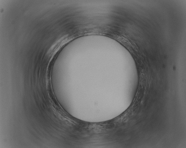 X0000067950290200605041833