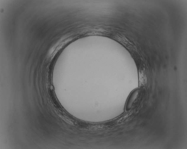 X0000067950291200605041833