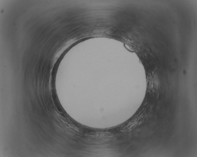 X0000067950292200605041833