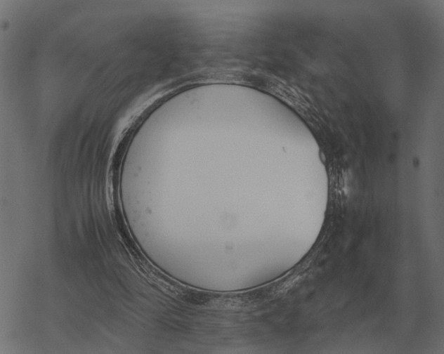 X0000067950294200605041833