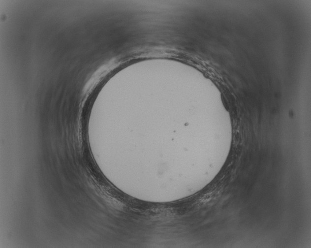 X0000067950296200605041833