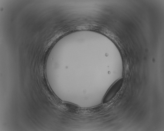 X0000067950297200605041833