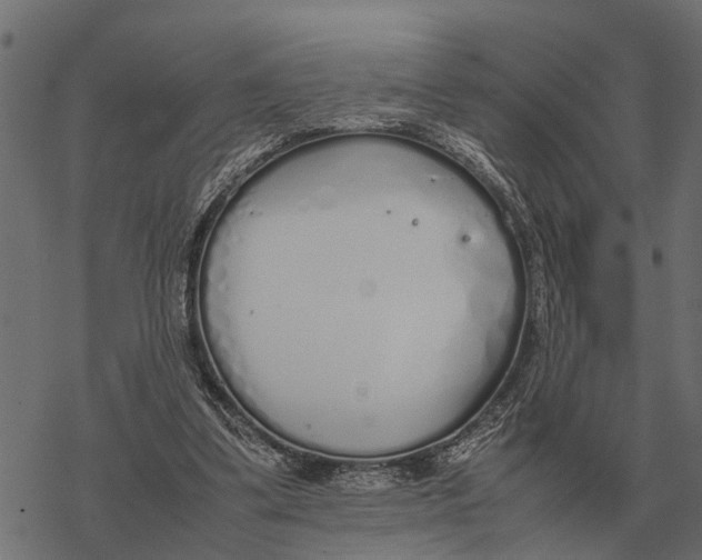 X0000067950299200605041833