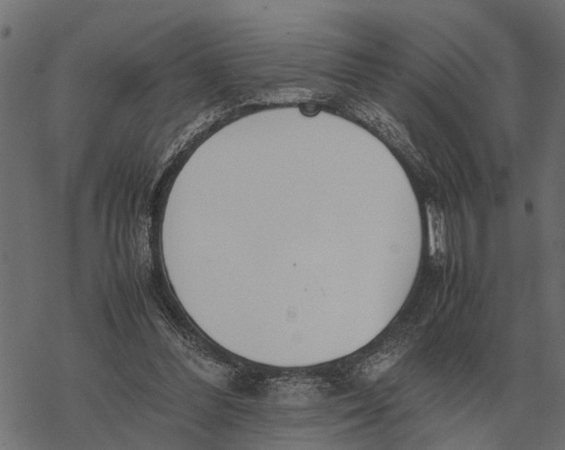 X0000067950300200605041833