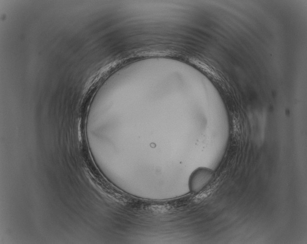 X0000067950302200605041833