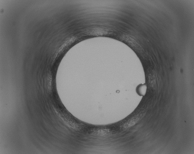 X0000067950304200605041833