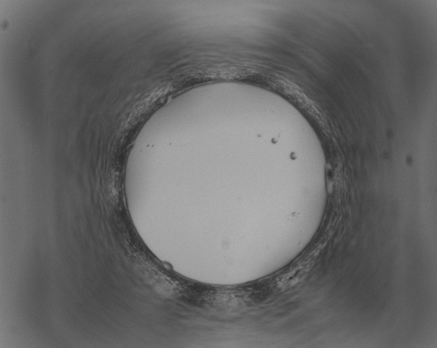 X0000067950305200605041833