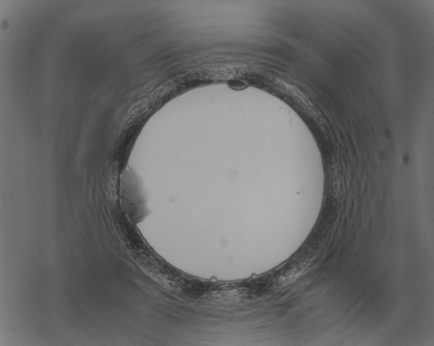 X0000067950307200605041832