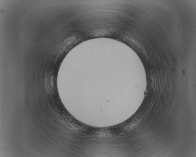 X0000067950308200605041832