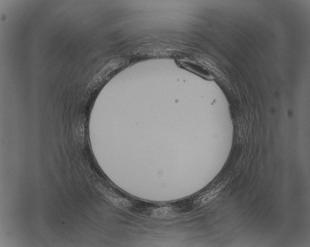 X0000067950309200605041832