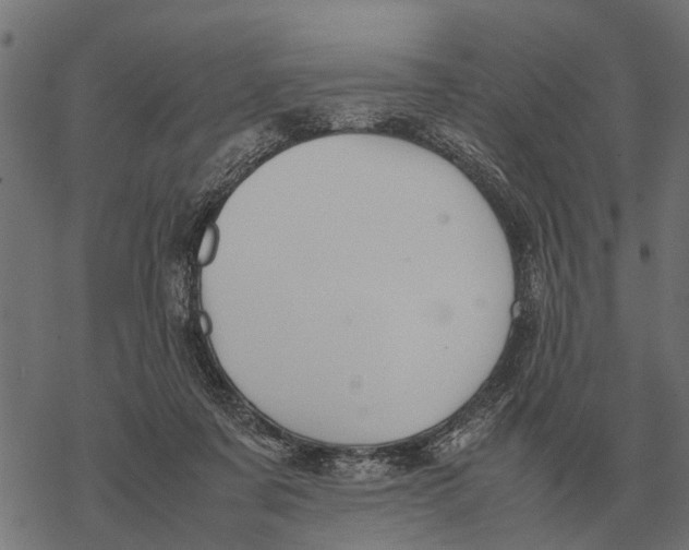 X0000067950311200605041832