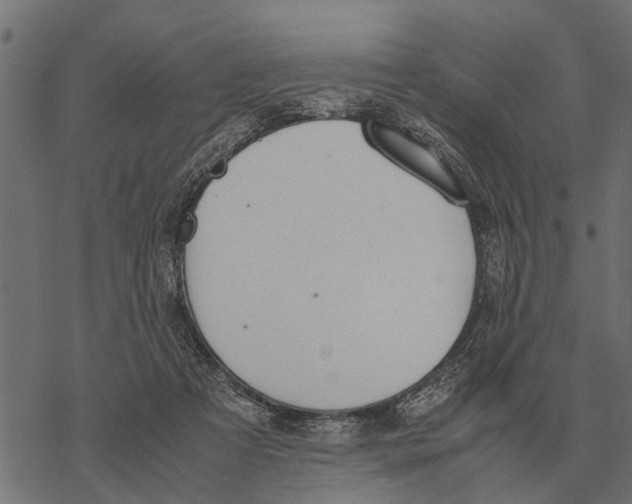 X0000067950313200605041832