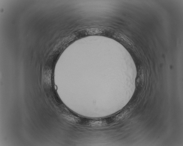 X0000067950315200605041832