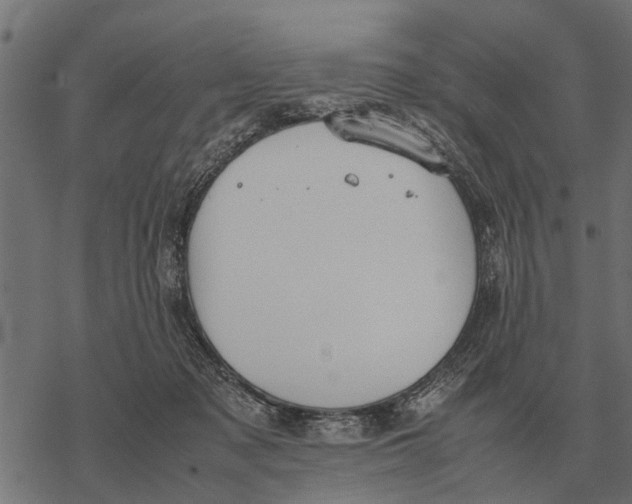 X0000067950317200605041832