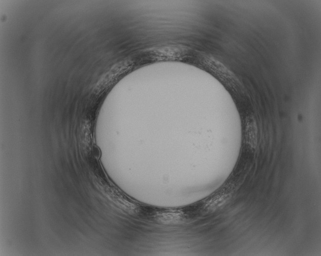 X0000067950318200605041832