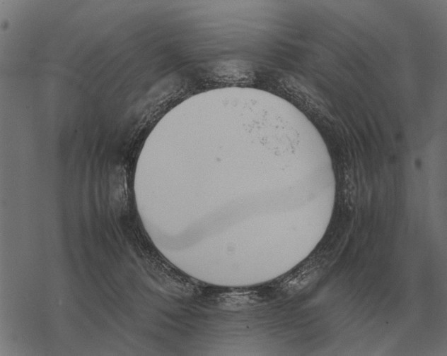 X0000067950320200605041832