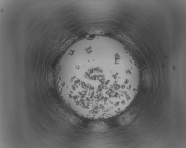 X0000067950322200605041832