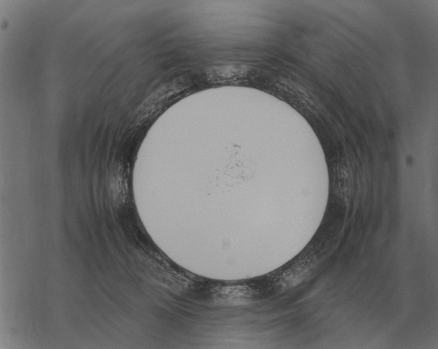 X0000067950324200605041832