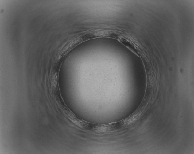 X0000067950325200605041832