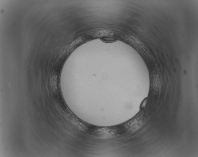 X0000067950326200605041832