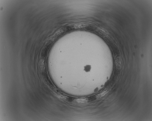 X0000067950327200605041832